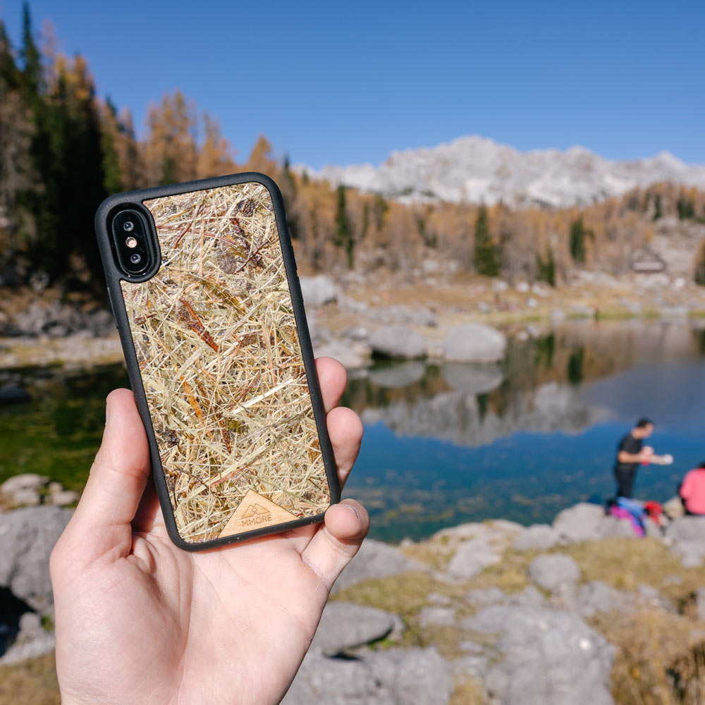 Alpine Hay Aromatic Phone Case