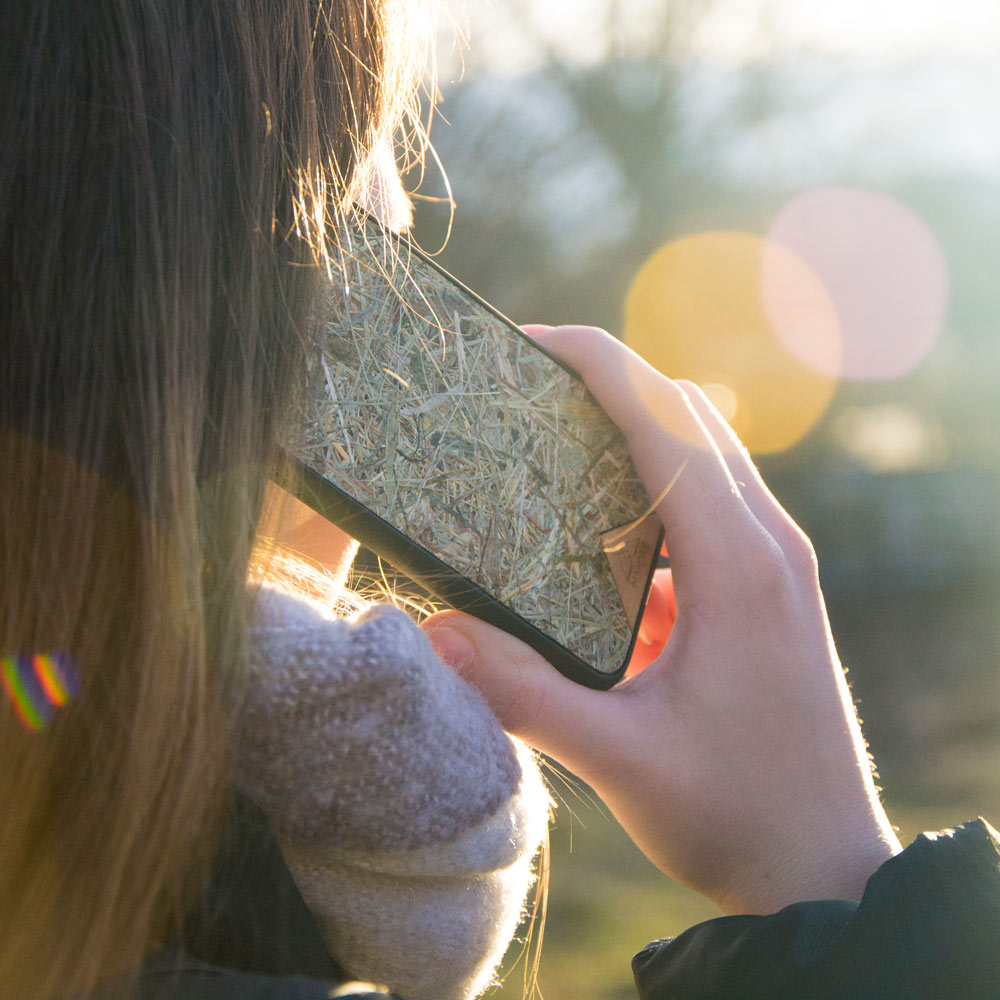 Alpine Hay Aromatic Phone Case