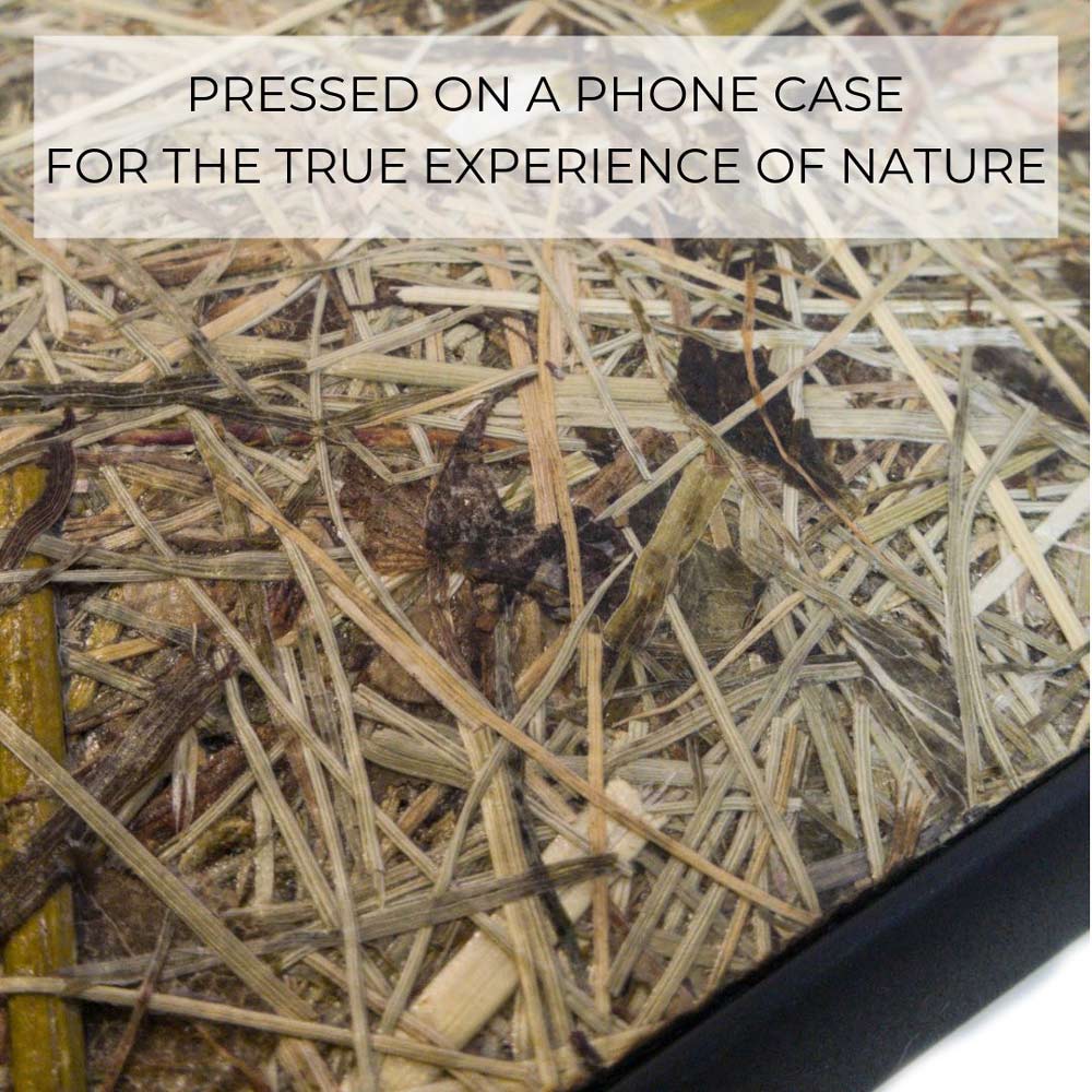 Personalized Alpine Hay Aromatic Phone Case