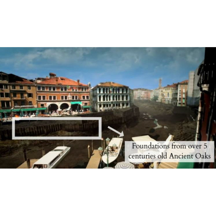 "The Venice" Wooden Phone Case