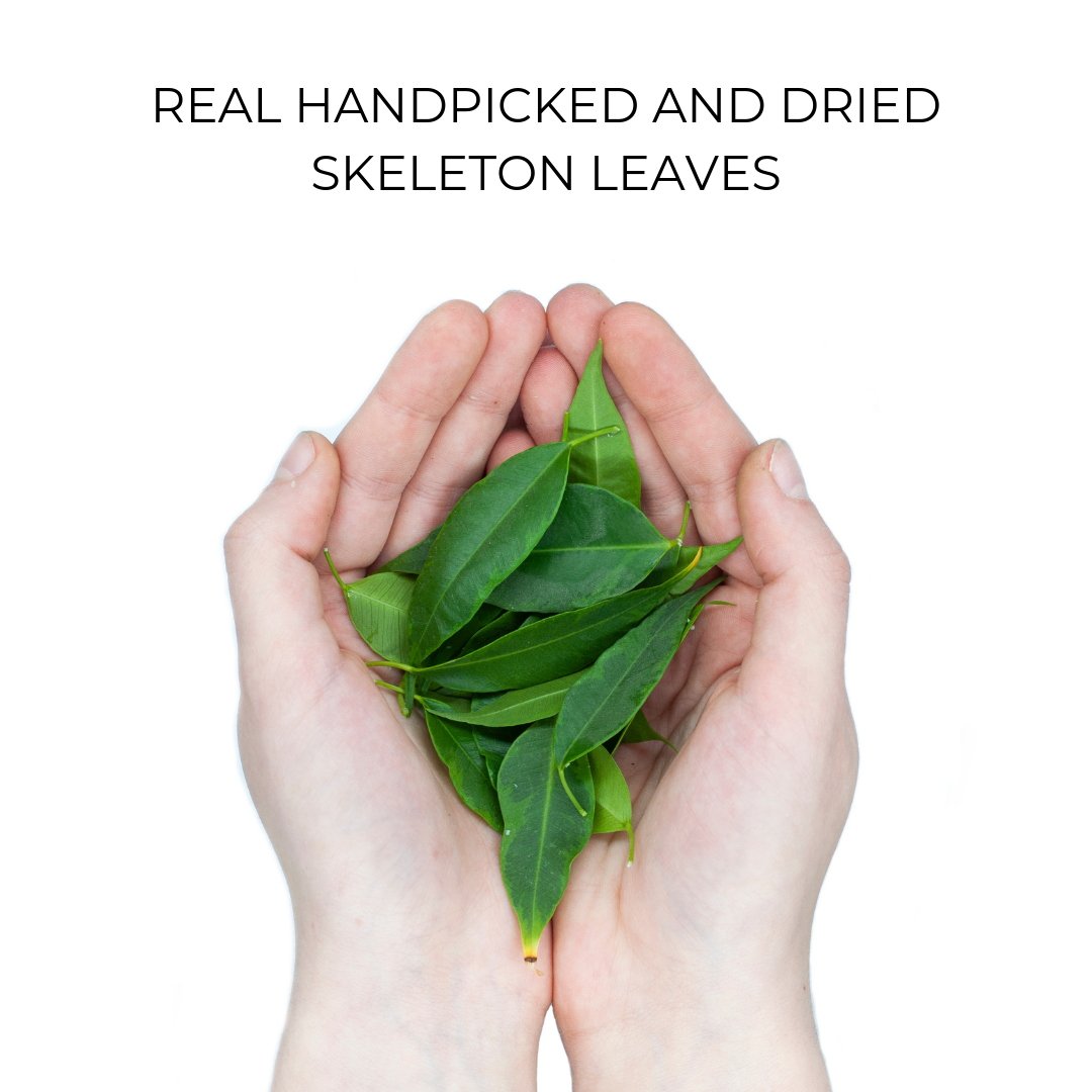Personalized Skeleton Leaves Aromatic Phone Case