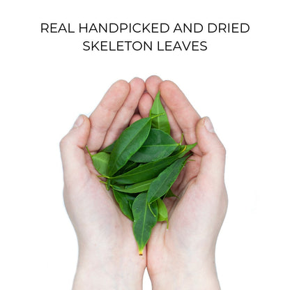 Personalized Skeleton Leaves Aromatic Phone Case